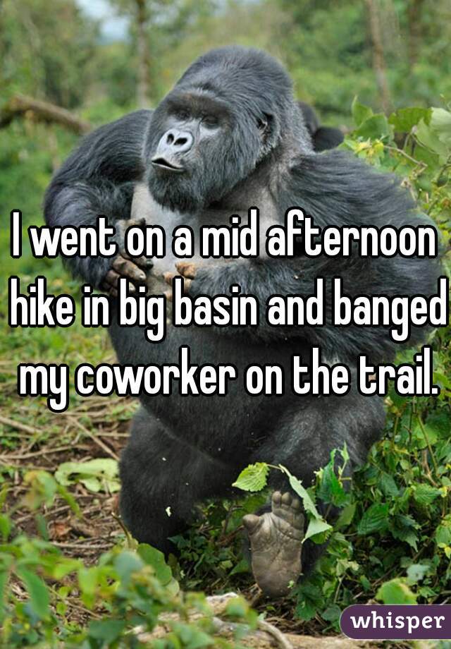 I went on a mid afternoon hike in big basin and banged my coworker on the trail.