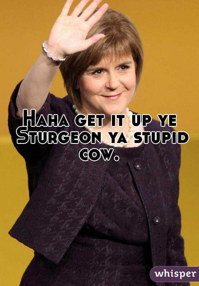 Haha get it up ye Sturgeon ya stupid cow. 