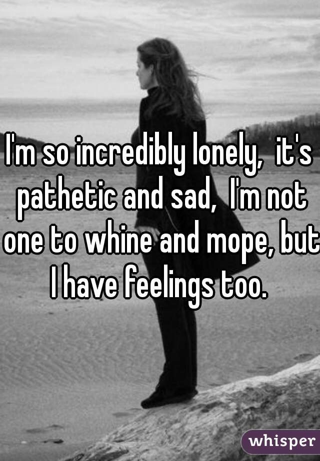 I'm so incredibly lonely,  it's pathetic and sad,  I'm not one to whine and mope, but I have feelings too. 