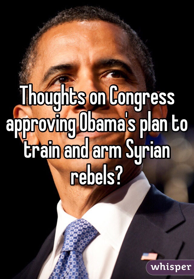 Thoughts on Congress approving Obama's plan to train and arm Syrian rebels? 