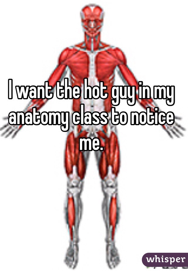I want the hot guy in my anatomy class to notice me.