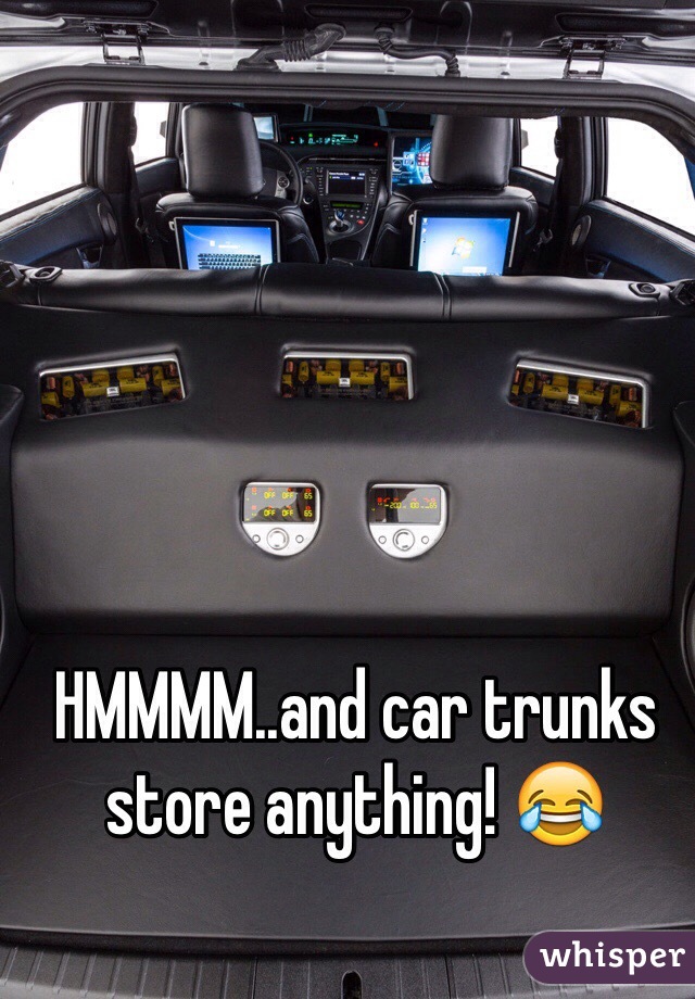 HMMMM..and car trunks store anything! 😂