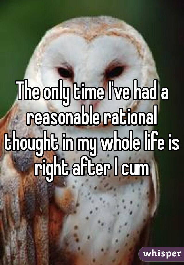 The only time I've had a reasonable rational thought in my whole life is right after I cum