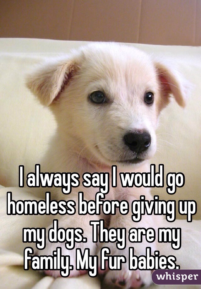 I always say I would go homeless before giving up my dogs. They are my family. My fur babies. 