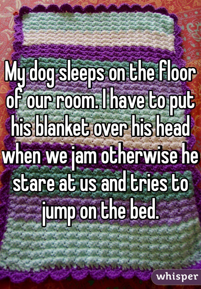 My dog sleeps on the floor of our room. I have to put his blanket over his head when we jam otherwise he stare at us and tries to jump on the bed. 