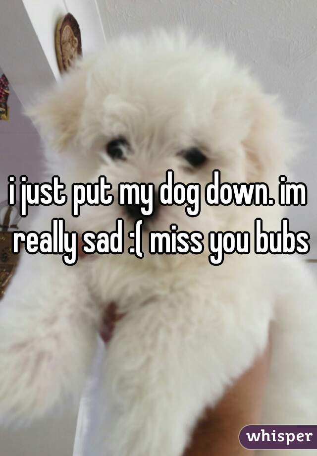 i just put my dog down. im really sad :( miss you bubs