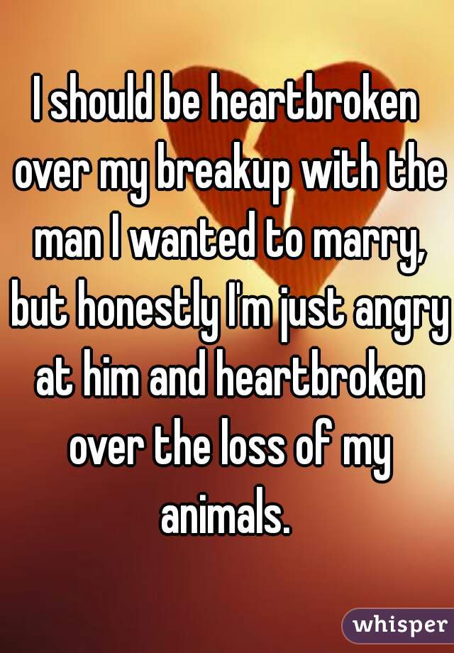 I should be heartbroken over my breakup with the man I wanted to marry, but honestly I'm just angry at him and heartbroken over the loss of my animals. 
