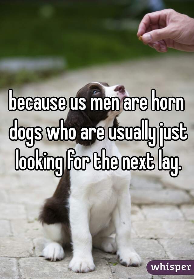 because us men are horn dogs who are usually just looking for the next lay.