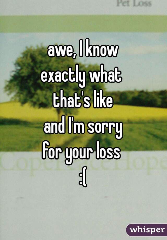 awe, I know
exactly what 
that's like
and I'm sorry
for your loss 
:(