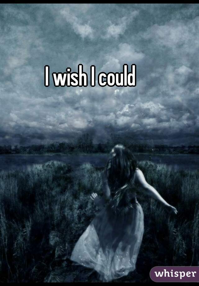 I wish I could