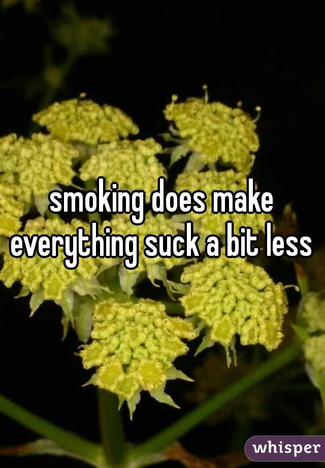 smoking does make everything suck a bit less 