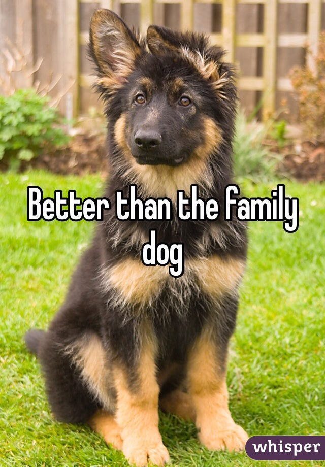 Better than the family dog