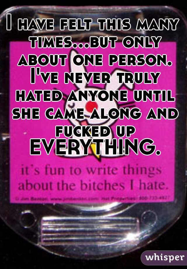 I have felt this many times...but only about one person. I've never truly hated anyone until she came along and fucked up EVERYTHING.