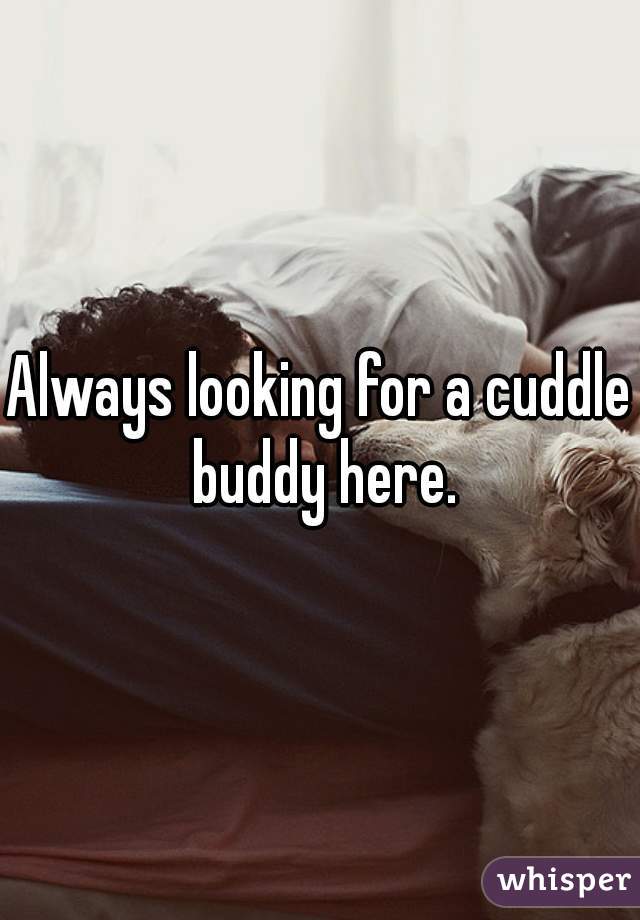 Always looking for a cuddle buddy here.