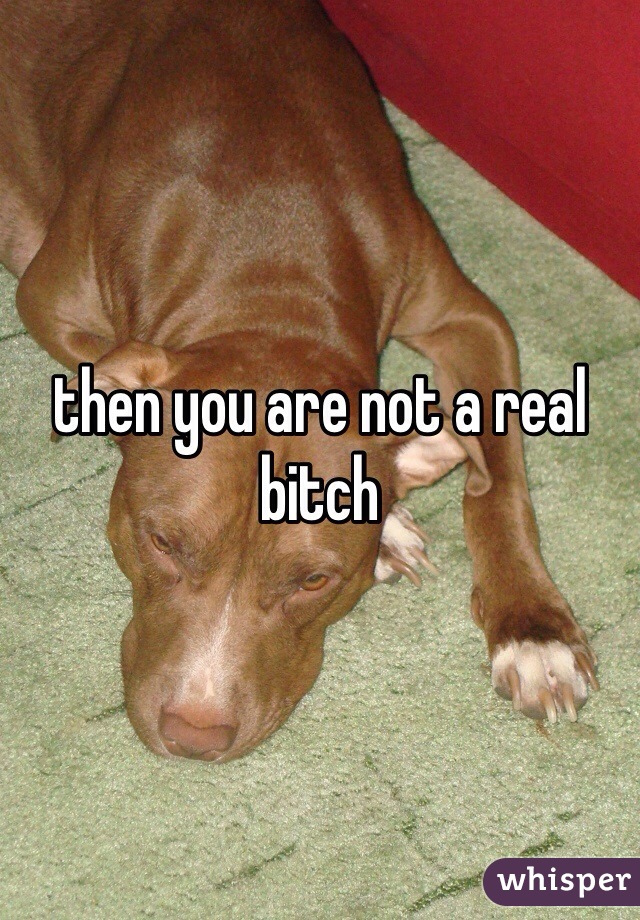 then you are not a real bitch 