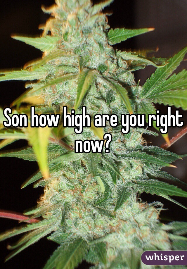 Son how high are you right now?