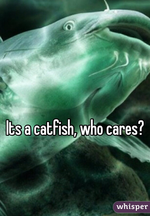Its a catfish, who cares? 
