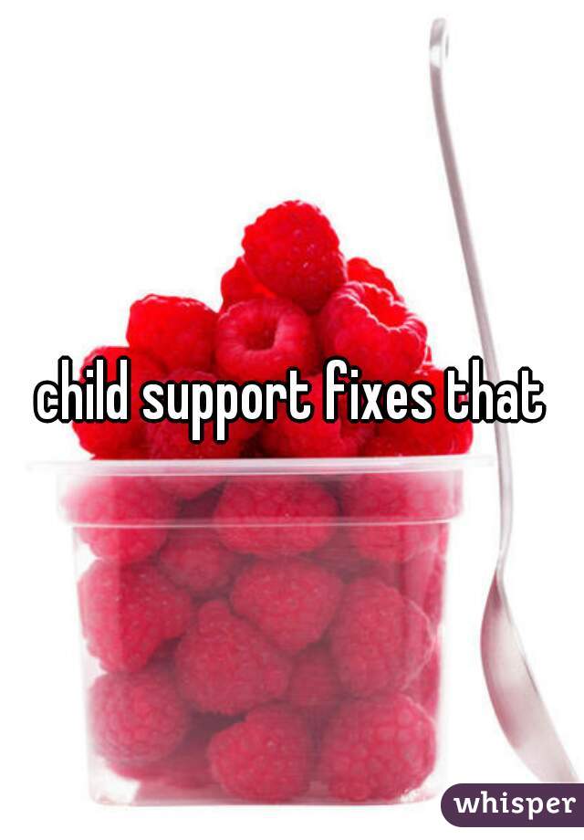 child support fixes that