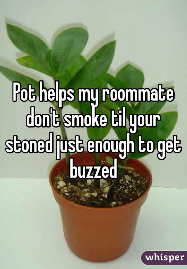 Pot helps my roommate don't smoke til your stoned just enough to get buzzed 