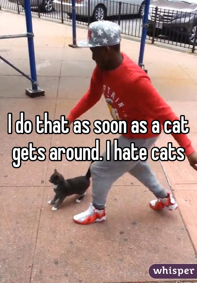 I do that as soon as a cat gets around. I hate cats 
