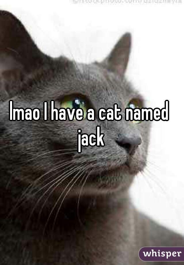 lmao I have a cat named 
jack