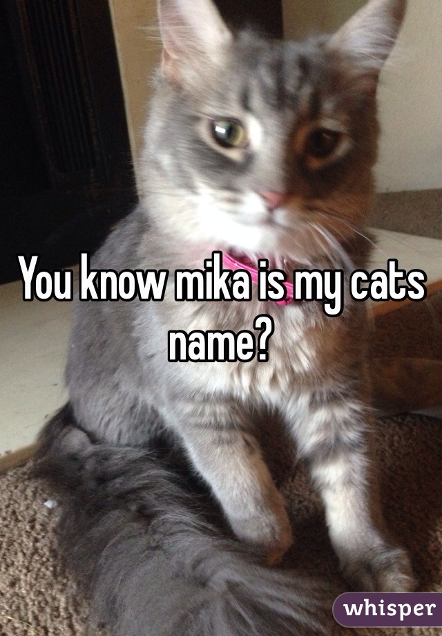 You know mika is my cats name?