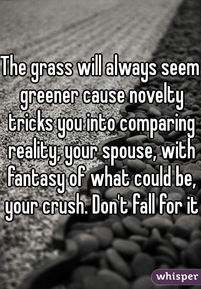 The grass will always seem greener cause novelty tricks you into comparing reality, your spouse, with fantasy of what could be, your crush. Don't fall for it.
