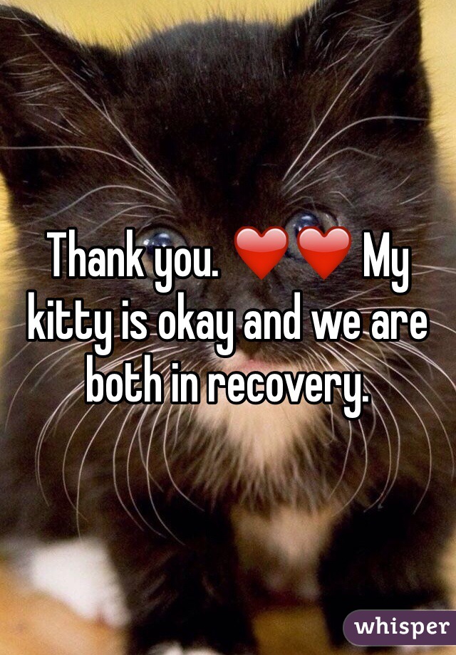 Thank you. ❤️❤️ My kitty is okay and we are both in recovery. 