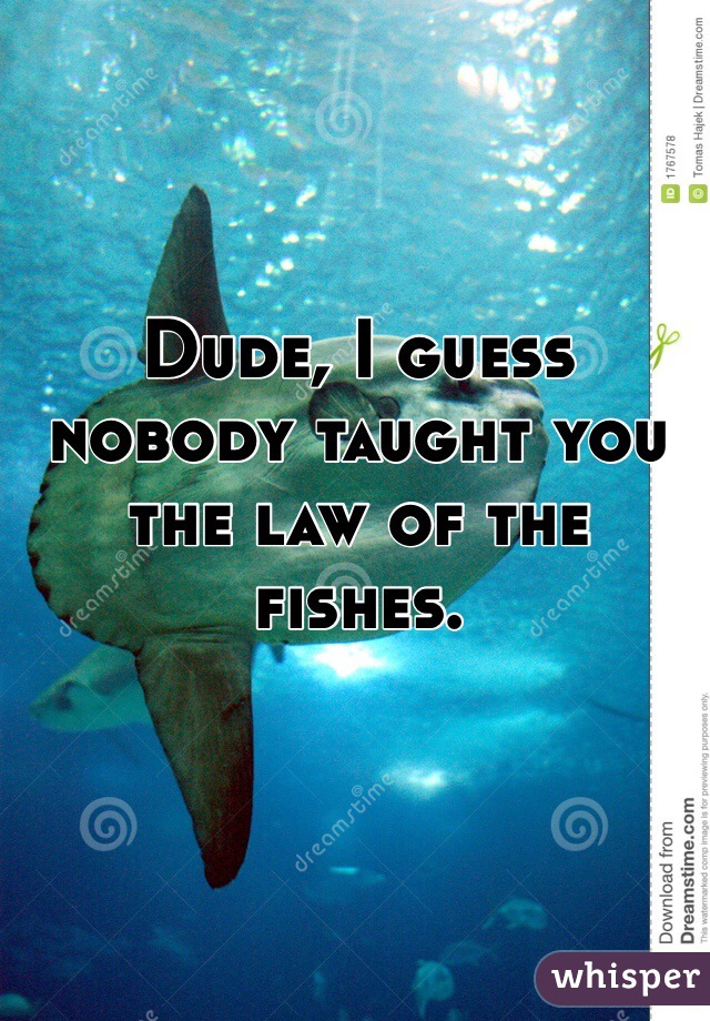 Dude, I guess nobody taught you the law of the fishes.