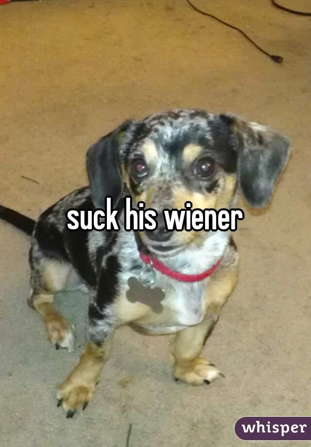 suck his wiener
