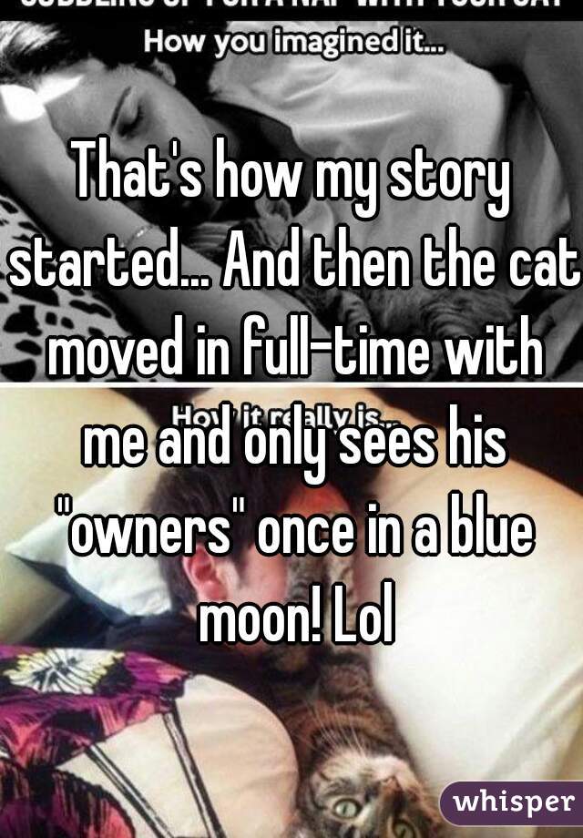 That's how my story started... And then the cat moved in full-time with me and only sees his "owners" once in a blue moon! Lol