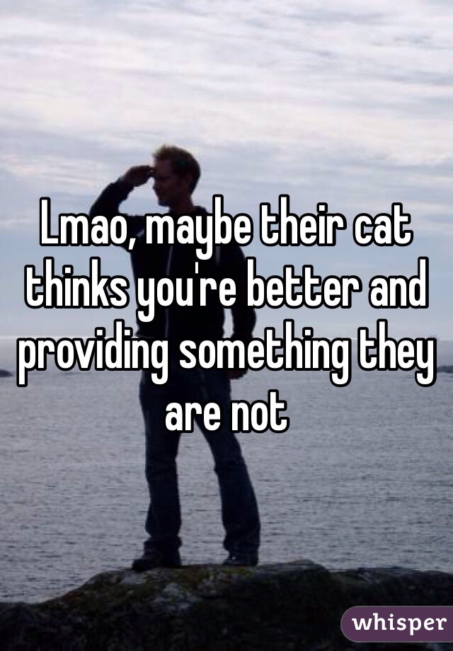 Lmao, maybe their cat thinks you're better and providing something they are not