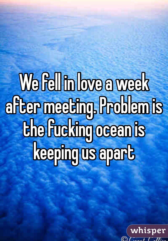 We fell in love a week after meeting. Problem is the fucking ocean is keeping us apart 