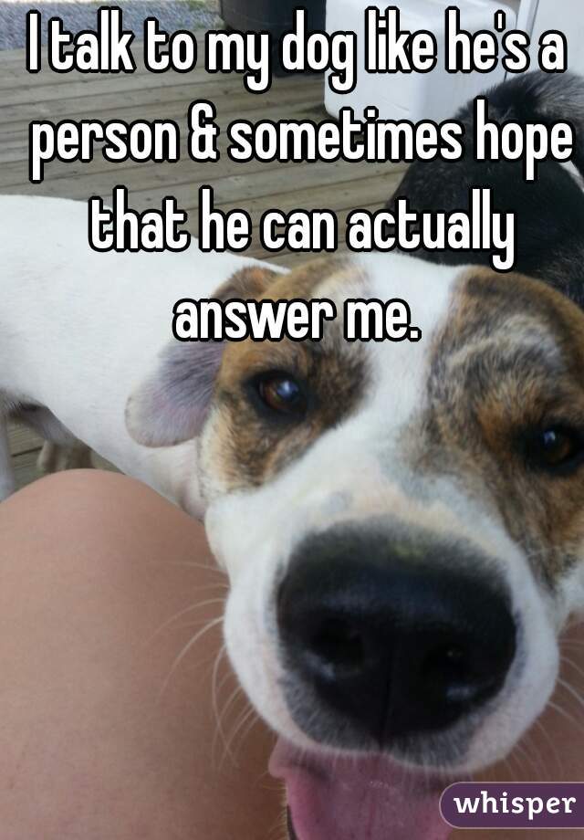 I talk to my dog like he's a person & sometimes hope that he can actually answer me. 