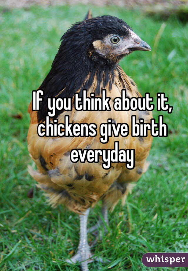 If you think about it, chickens give birth everyday