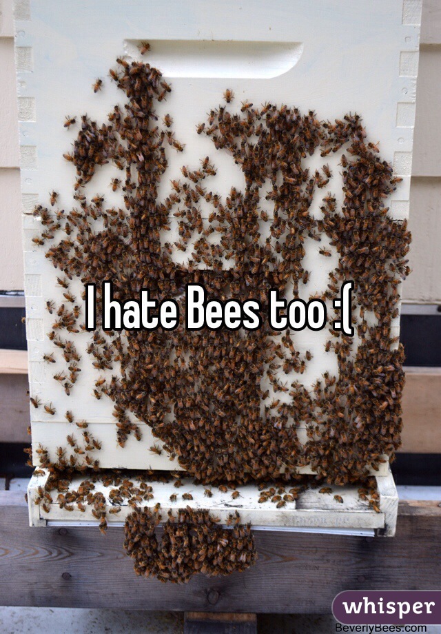 I hate Bees too :(