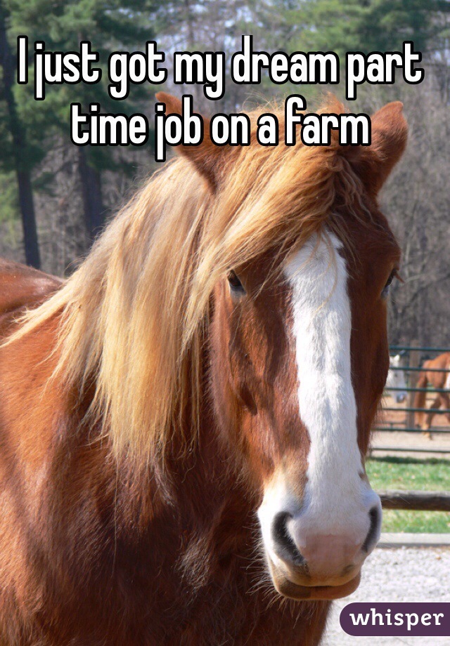 I just got my dream part time job on a farm 
