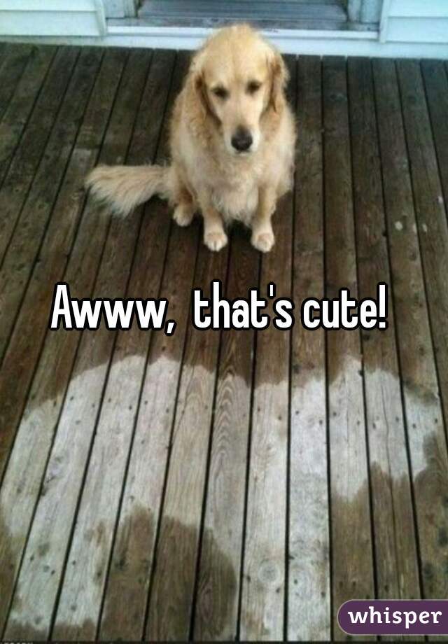 Awww,  that's cute! 