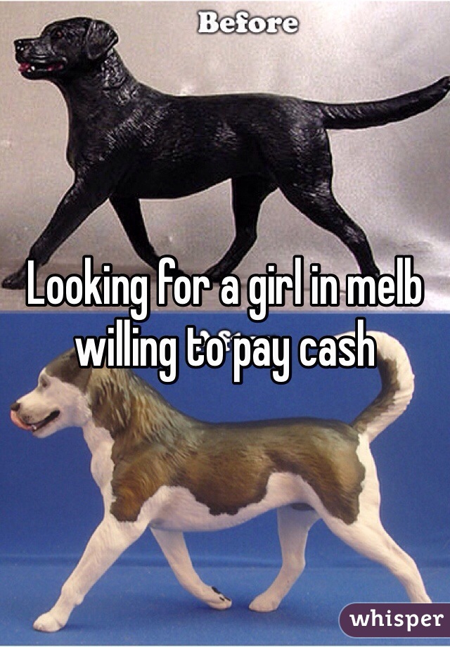 Looking for a girl in melb willing to pay cash