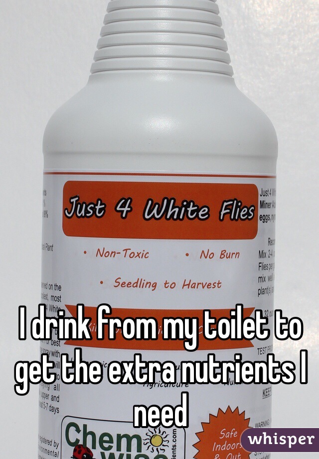 I drink from my toilet to get the extra nutrients I need 