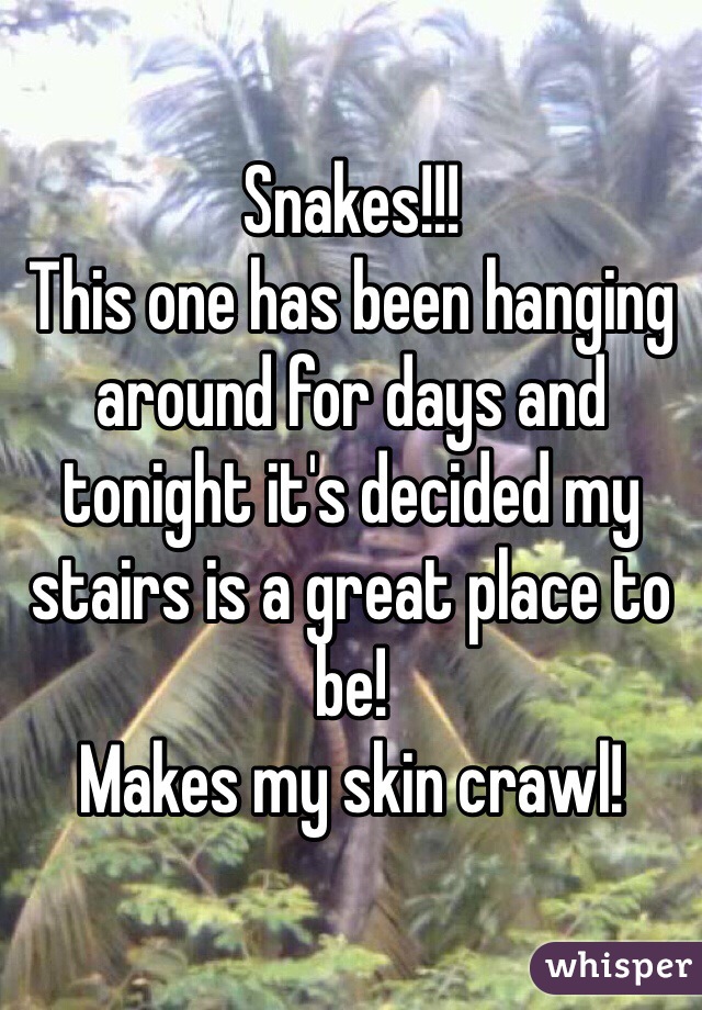 Snakes!!! 
This one has been hanging around for days and tonight it's decided my stairs is a great place to be! 
Makes my skin crawl!  
