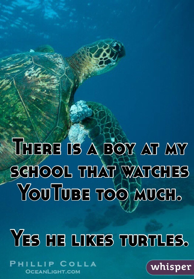 There is a boy at my school that watches YouTube too much.

Yes he likes turtles.