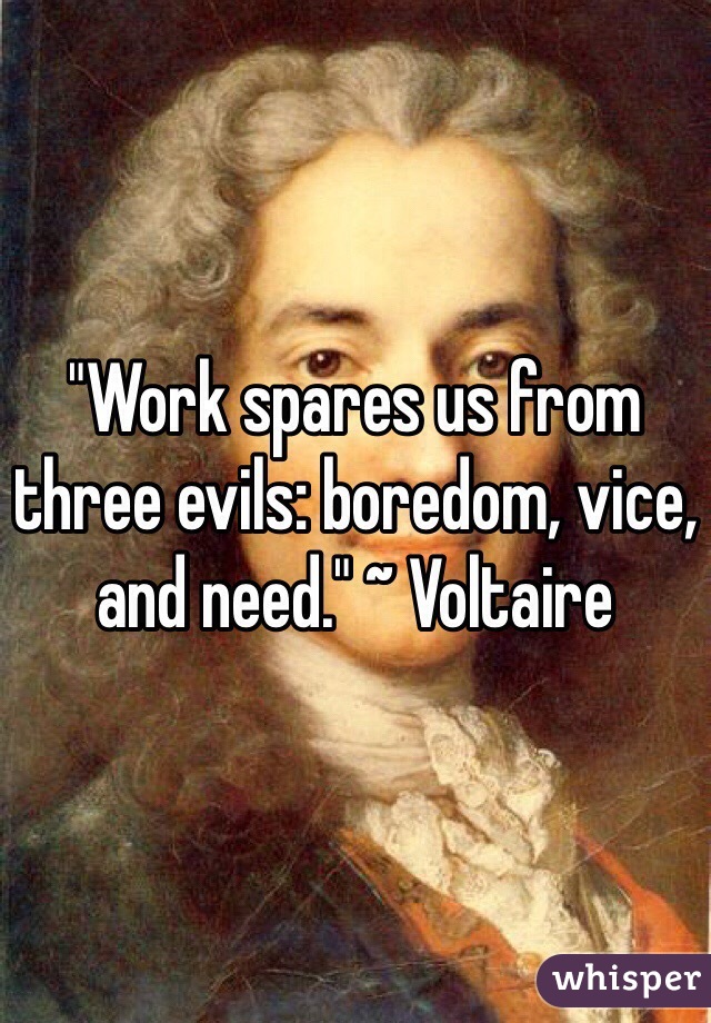 "Work spares us from three evils: boredom, vice, and need." ~ Voltaire