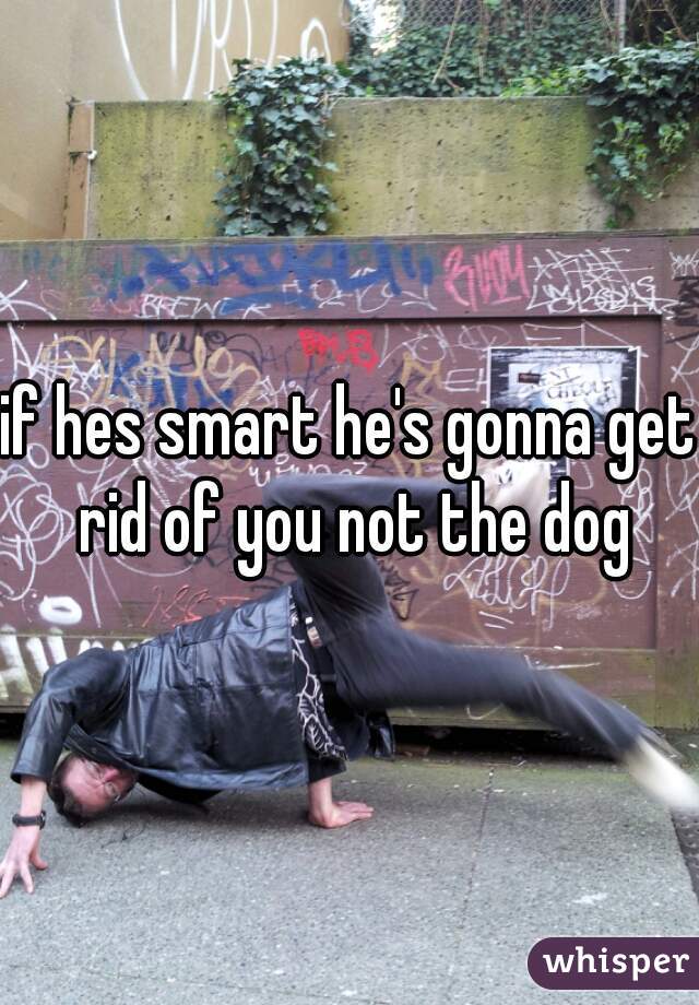 if hes smart he's gonna get rid of you not the dog