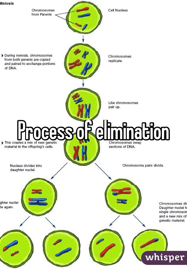 Process of elimination
