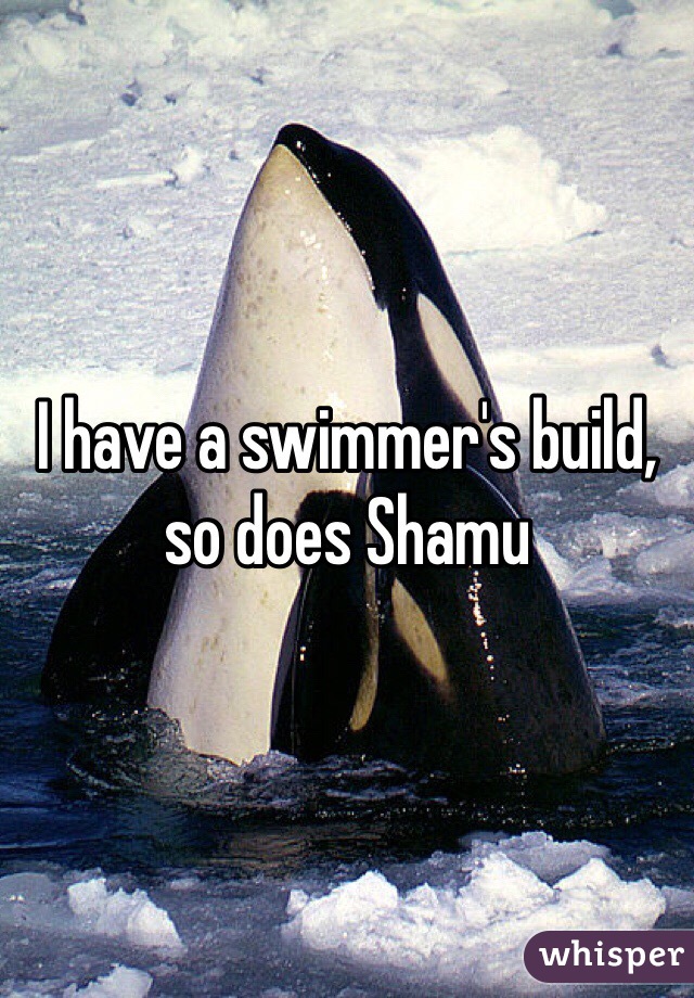 I have a swimmer's build, so does Shamu 