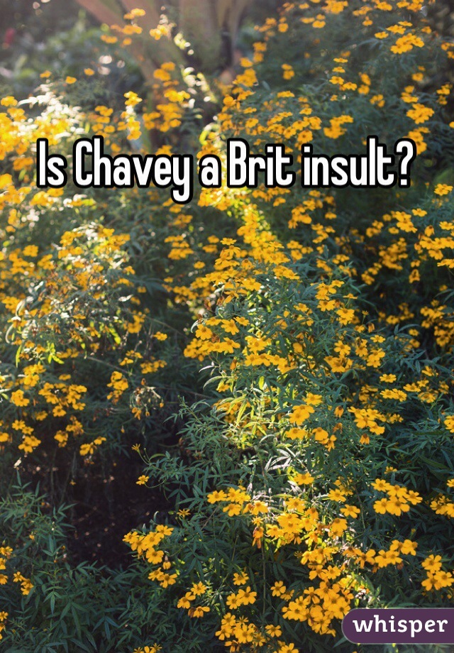 Is Chavey a Brit insult?
