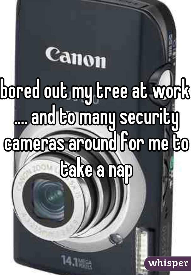 bored out my tree at work .... and to many security cameras around for me to take a nap