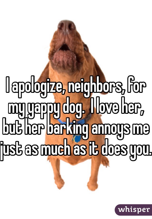 I apologize, neighbors, for my yappy dog.  I love her, but her barking annoys me just as much as it does you.  