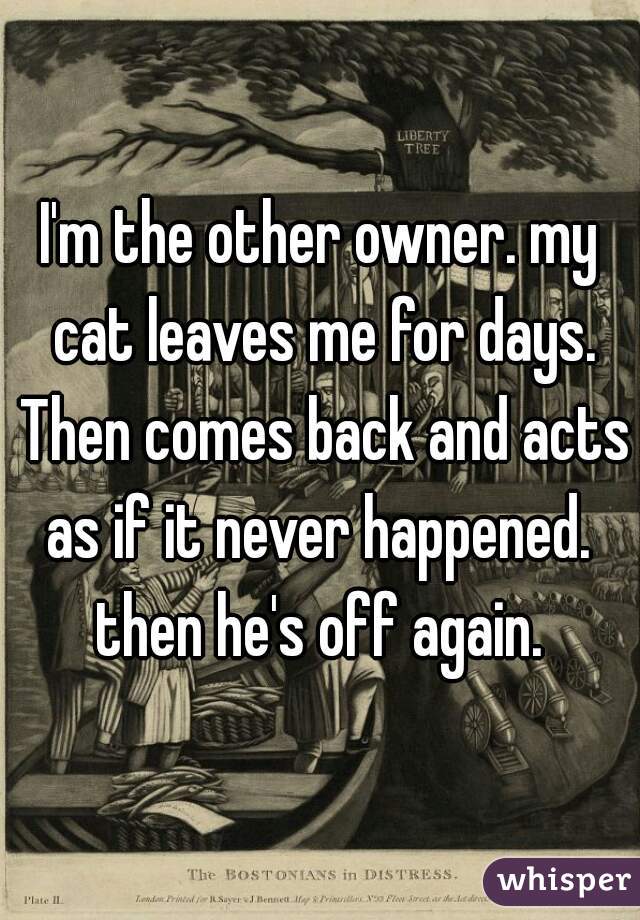 I'm the other owner. my cat leaves me for days. Then comes back and acts as if it never happened.  then he's off again. 